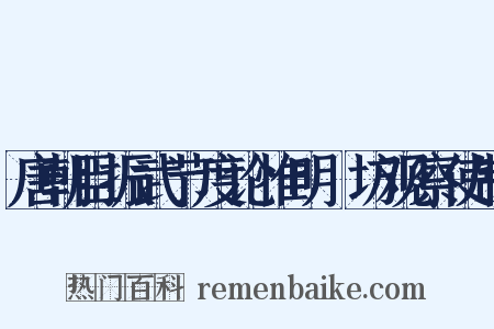 唐朝臣振武节度论惟明鄜坊观察使制是什么意思的图片